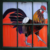 Rooster